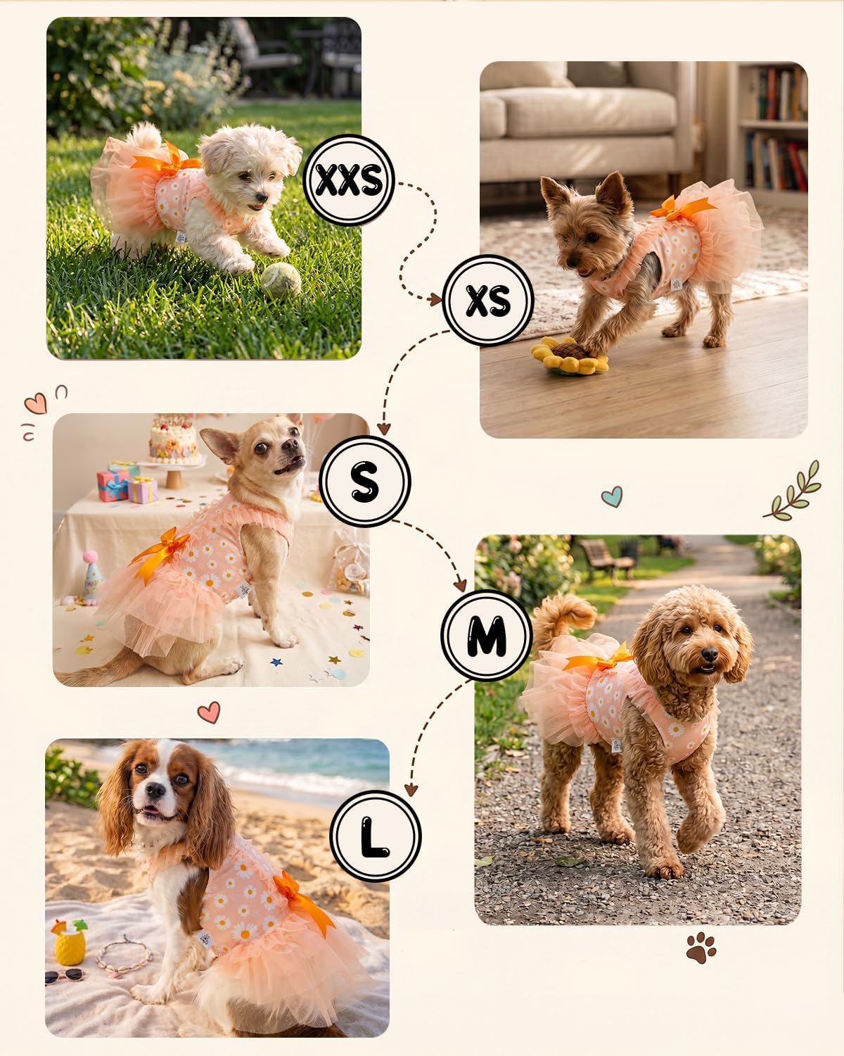 CuteBone Cream Daisy Pet Dress for Small Dogs, Cats - Double-Layer Ruffled Skirt - Orange Satin Bow - Spring Daily, Garden Dress