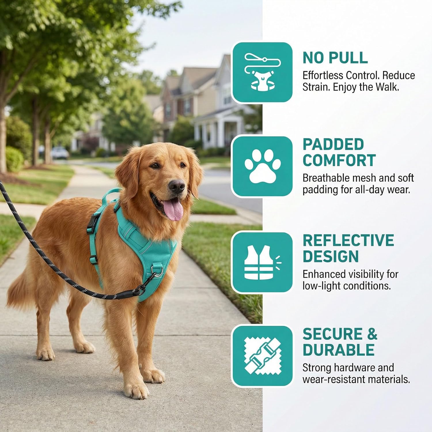 No Pull Dog Harness with 2 Leash Clips, Adjustable Soft Padded Reflective Oxford Pet Vest with Easy Control Handle for Large Dogs (Turquoise, Extra Large)