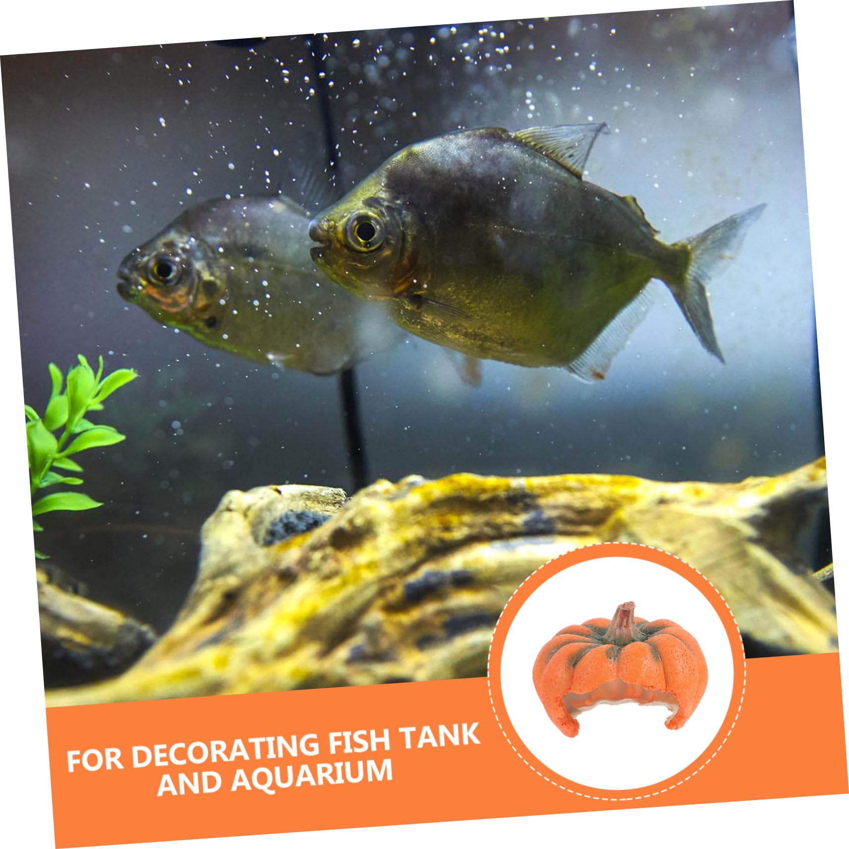 OUNONA 3 Stück Kürbis Versteckhaus Schreibtisch Aquarium Aquarium Versteck Unterschlupf Sicheres Kürbis Versteckhöhle Zuchthöhle Unterschlupf Für