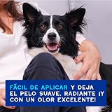 Ver la foto 7