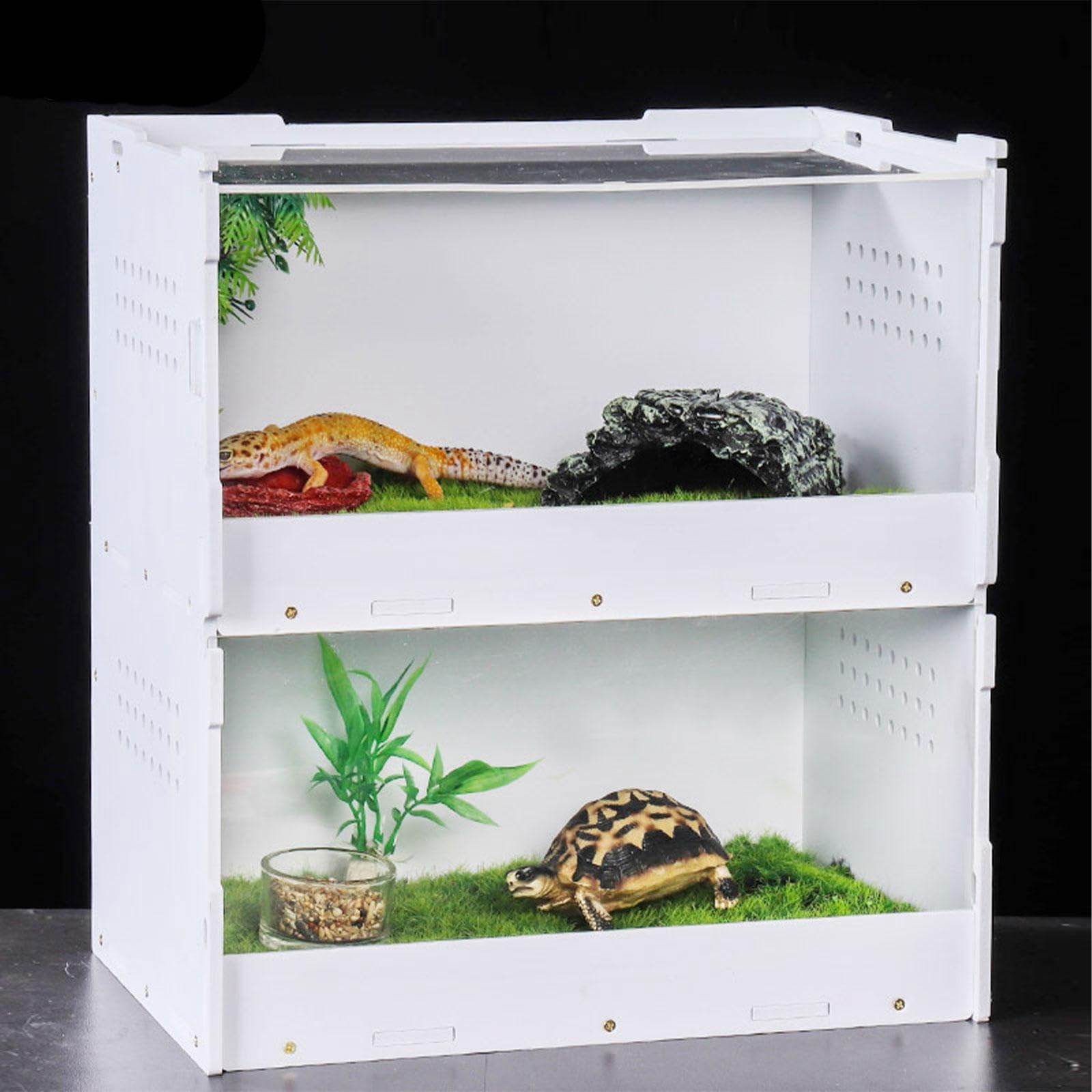 Caja de Alimentación para Reptiles, Terrario para Reptiles, Kit de Inicio para Arañas Y Geckos, L