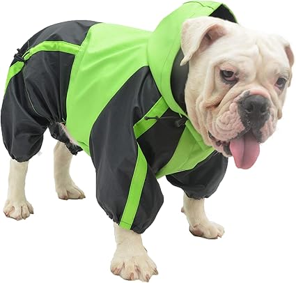 pitbull jackets