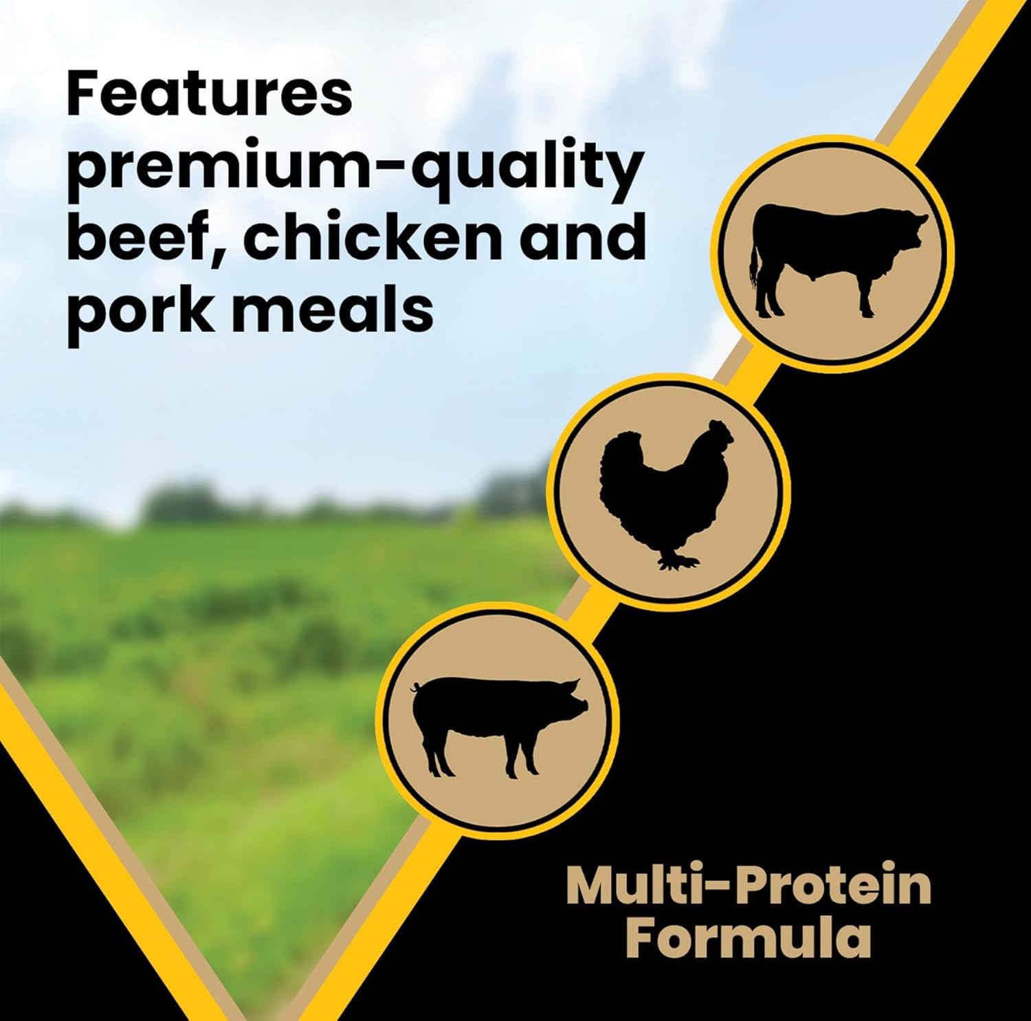 Victor Super Premium Multi-Pro Dry Dog Food Gluten Free with Beef, Chicken and Pork Protein for Normally Active Dogs All Breeds and Life Stages, 15 lb - Image 6