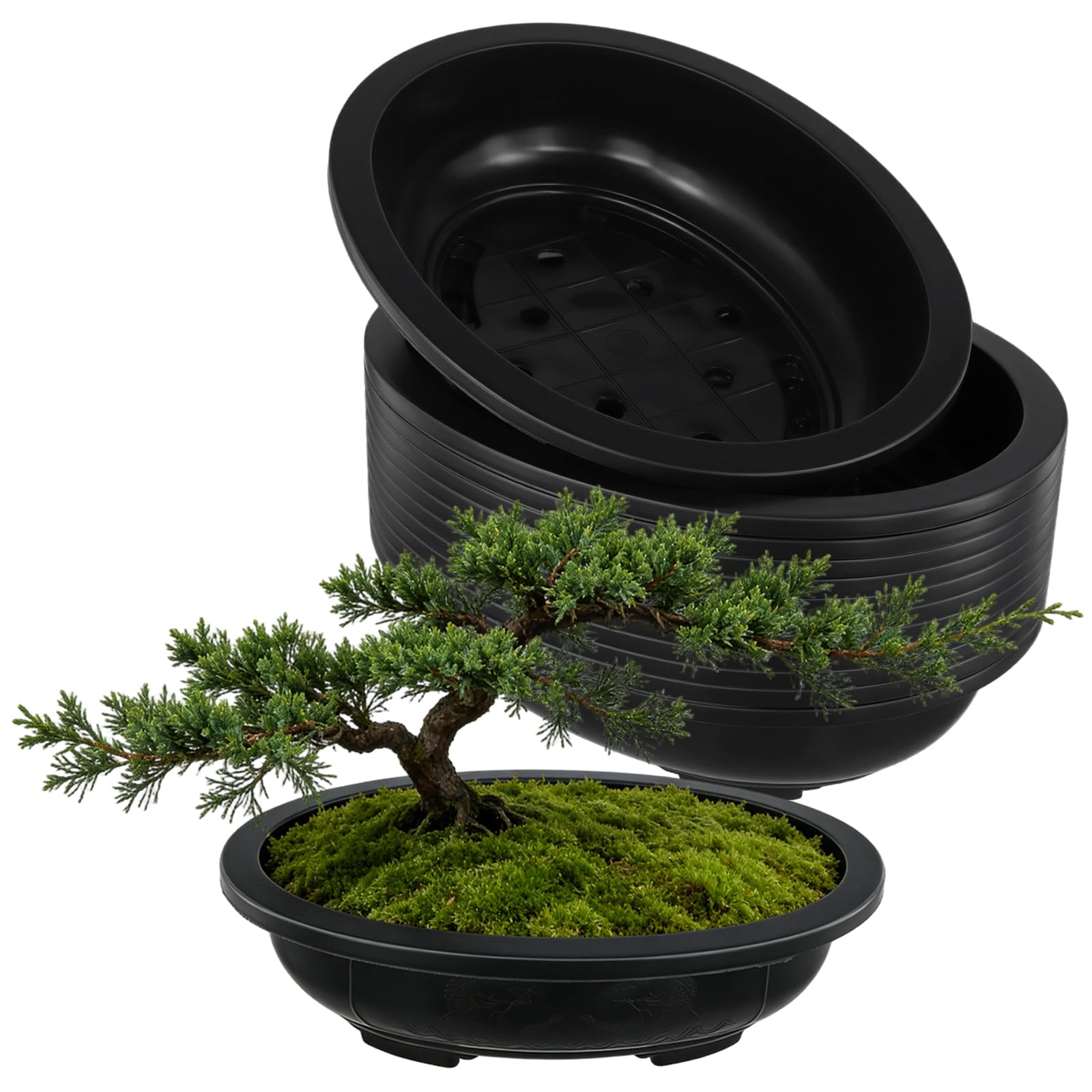 Pots de culture en plastique rigide Hakzeon, soucoupes de drainage oblongues