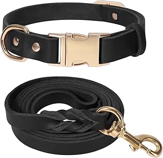 LWBMG Ensemble collier et laisse en cuir de 1,5 m pour chien, laisse et collier robustes avec boucle en métal, collier et laisse réglables pour animaux de compagnie, laisse et collier doux pour chiens