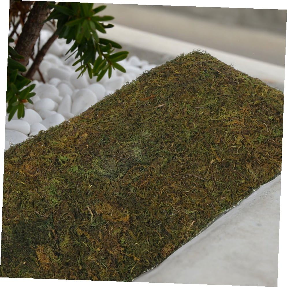 Mousse décorative pour intérieur et aménagement paysager de terrasse - 7