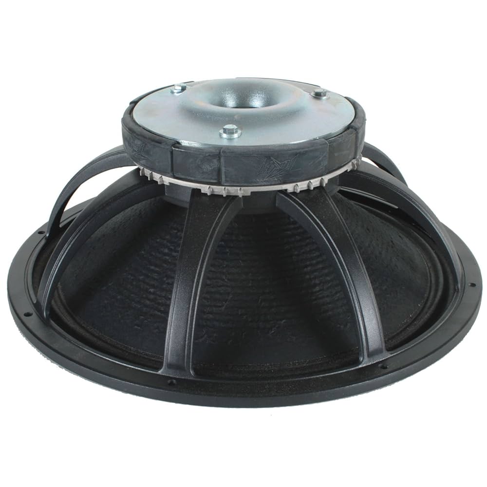 Peavey Black Widow 18インチ 1個(単品)動作品 Peavey Low Rider 18 Inch Black Widow Speaker : Amazon.ca