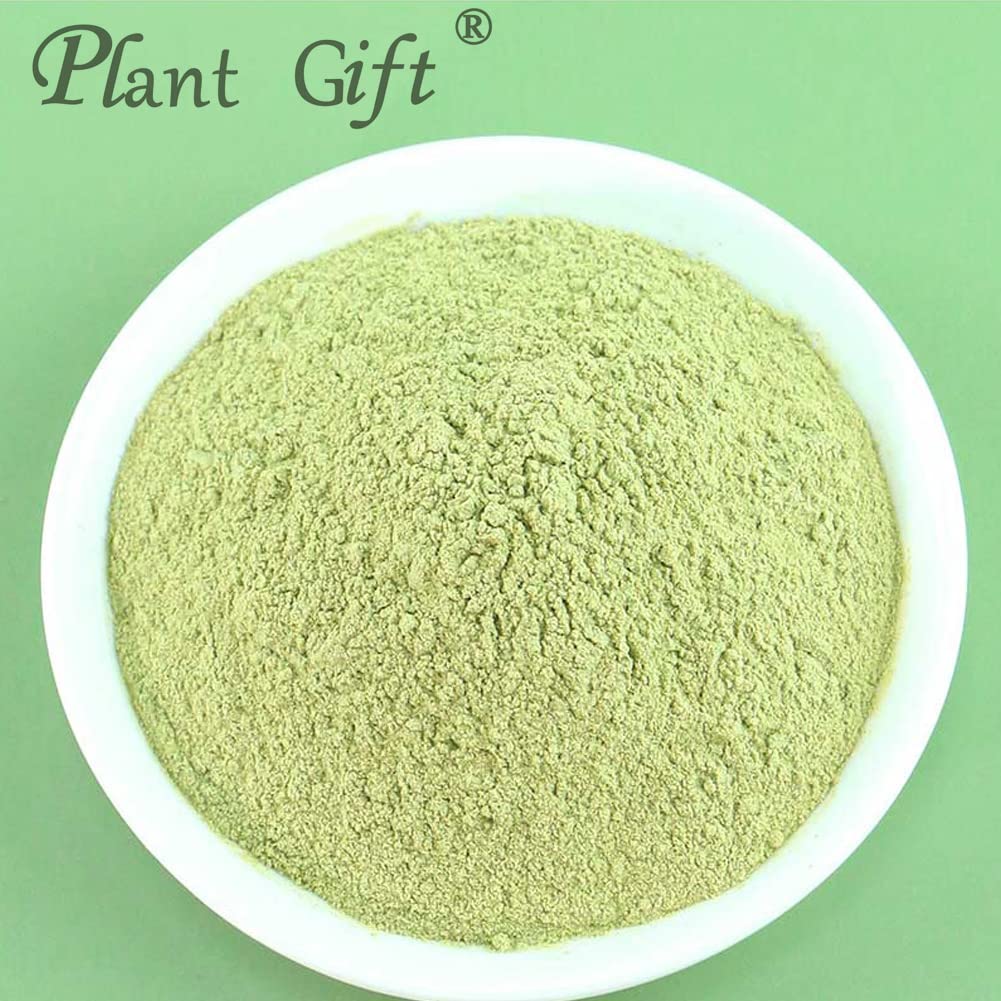 Plant Gift 100% Pure Balsam Pear Powder 苦瓜粉 Natürliches Bittermelonenmehl, Großes Aroma für Getränke, Smoothie, Kuchen und Getränke, Nicht-GVO Pulver, Kein Füllstoff, Keine Zusätze 100G/3.25oz
