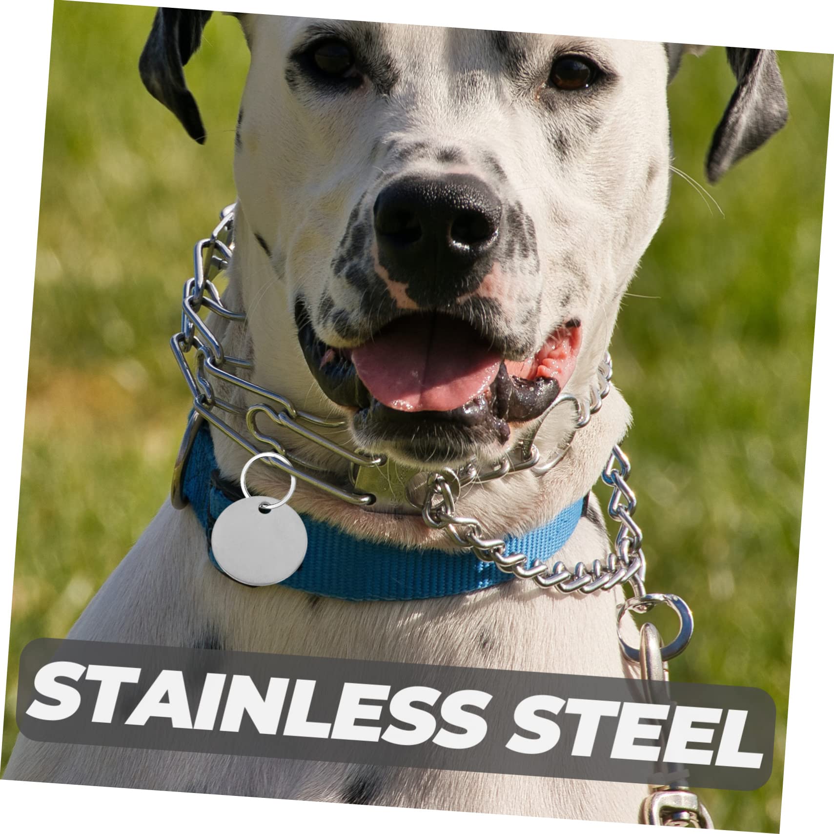10 étiquettes Vierges En Acier Inoxydable Pour Chien - Médailles Rondes 30 Mm, à Graver, Anti-perte, Pour Collier Ou Porte-clés