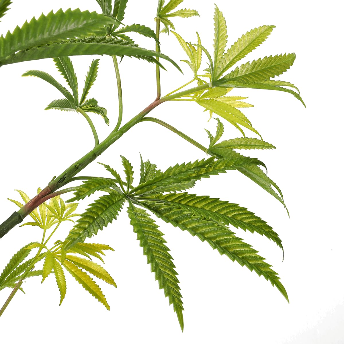 Amazon.de: Deco Woerner Knstliche Hanfpflanze 90 cm Deko Baum Kunstpflanze  Zimmerpflanze Cannabispflanze