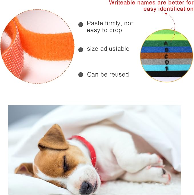 15 Collares para Cachorros Mozeat Lens Color Surtido Ajustable con Campana miniatura 3