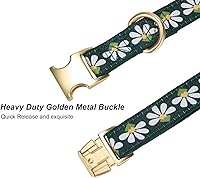 Vista 23 de Collar de Algodón Suave para Perro con Hebilla de Metal Ajustable de Servicio Pesado Cómodo Collares de Pana para Perros Pequeños, Medianos