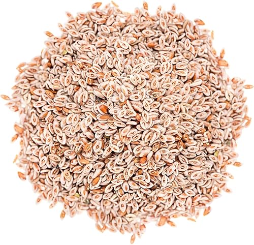 Miniatura 3 de Semillas de psyllium enteras orgánicas, 2.5 libras, sin OMG, veganas, kosher, aptas para dieta cetogénica, crudas, a granel, ricas en hierro,