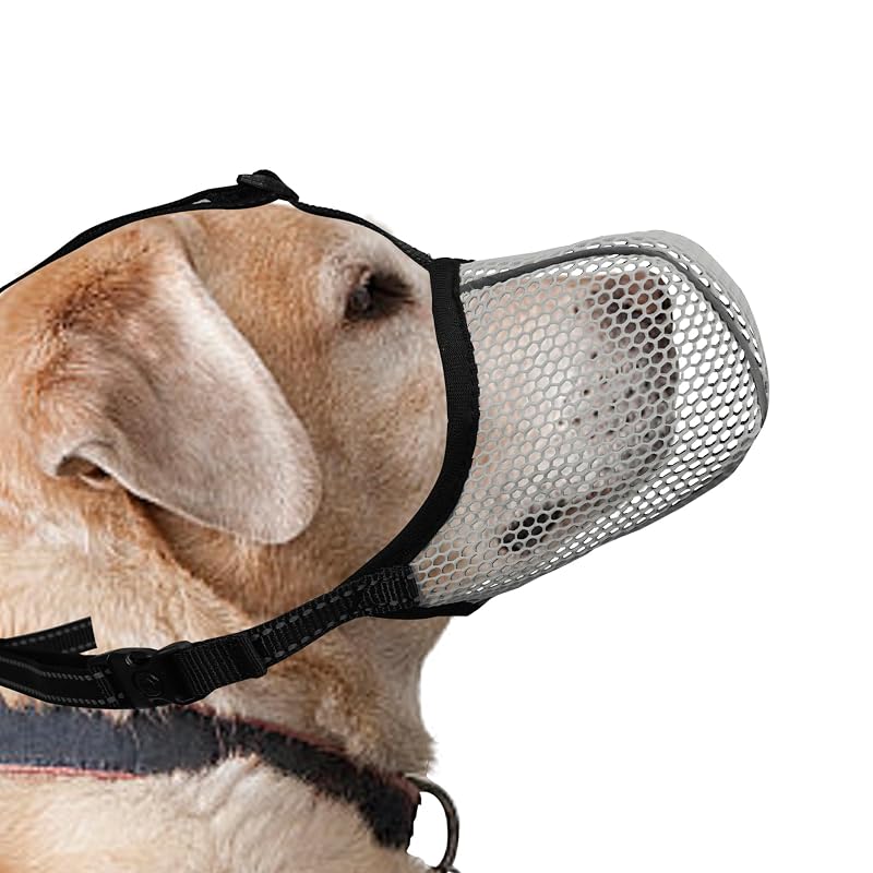 Focinheira para Cães Grandes com Air Mesh de Nylon JOYPAWS Cinza XL