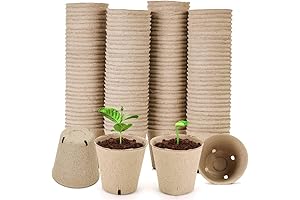 Peat Pots: The Ideal Seed Starting Solution for Plant Enthusiasts