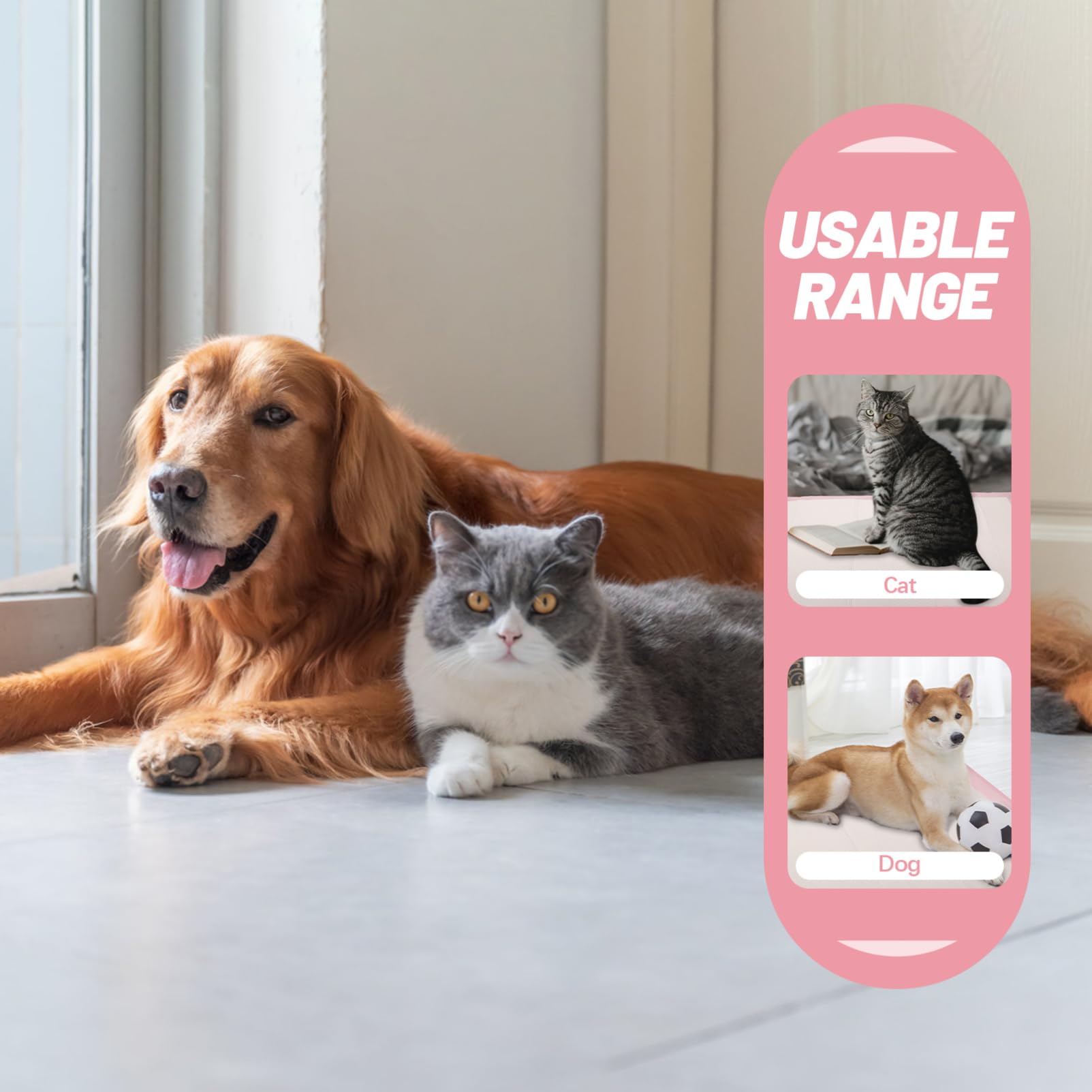 Housoutil 1bolsa Empapadores para Perros Empapadores De Entrenamiento Superabsorbentes para Cachorros para Orinar De Mascotas Adecuado para Entrenamiento De Interior