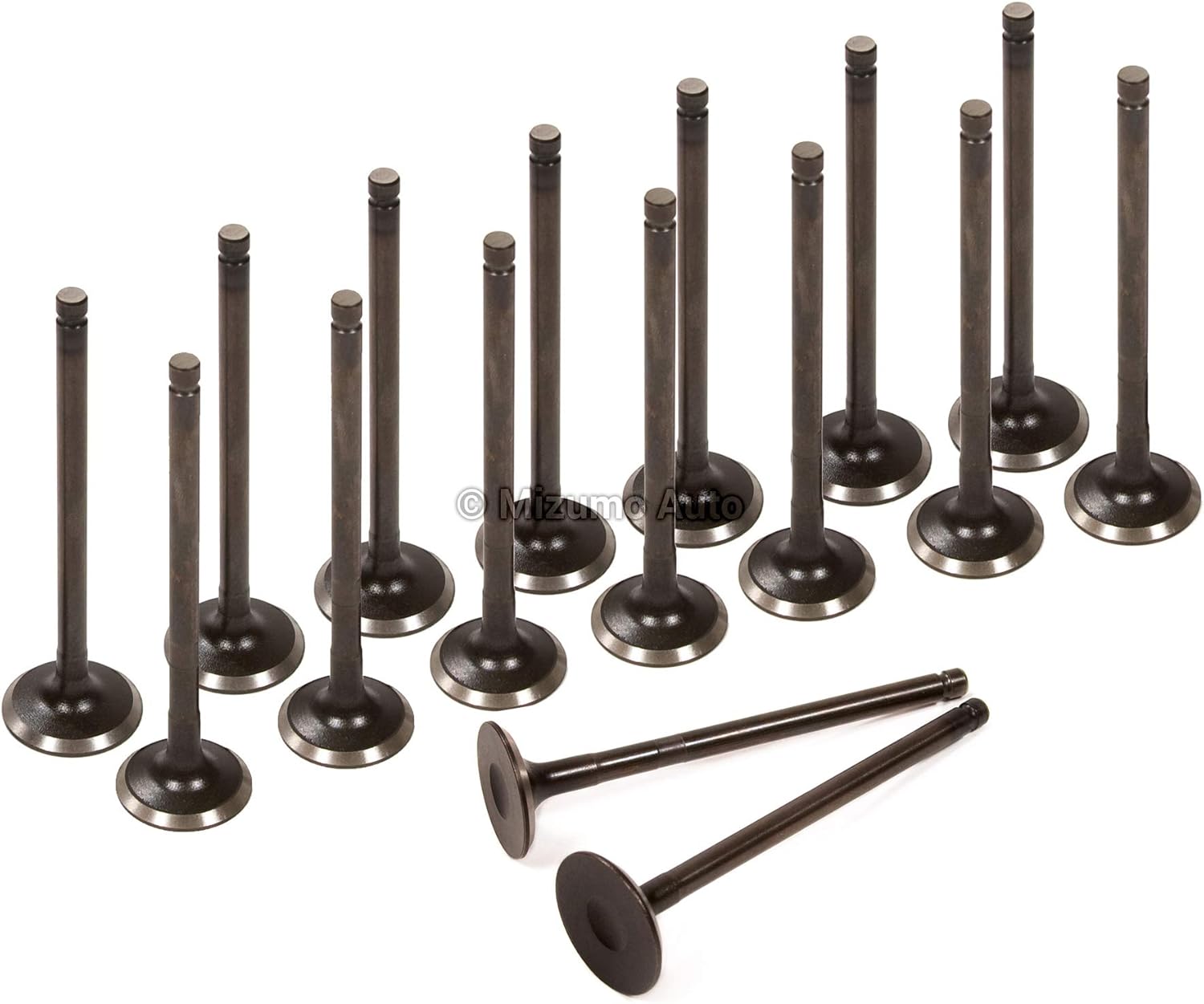 Evergreen IEV10416(16) Intake Exhaust Valves Compatible with 04-08 Chevrolet Aveo Aveo5 1.6 DOHC VIN 6
