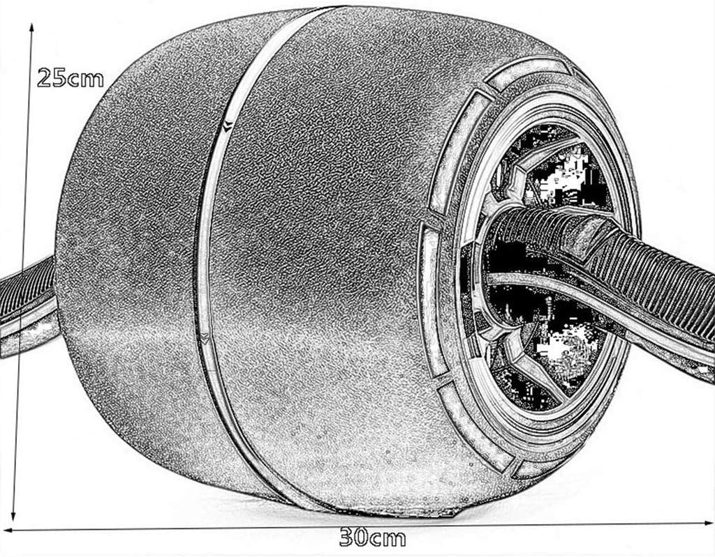 Wheel | Ultimate Core Strength Training Exercise for Your ABS | Workout At Home Work or Gym Tone Your Core Body Muscles with AB Trainer