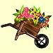 Flowers and Plants