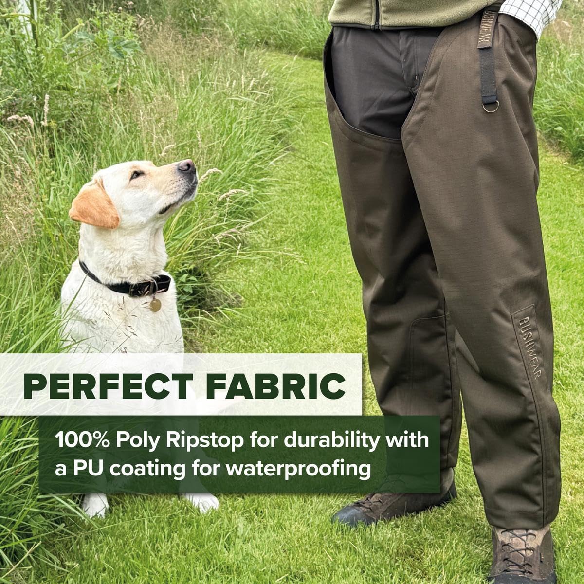 BushWear Thornguard Pro Jambières – Imperméables et Résistantes aux Ronces – Pro