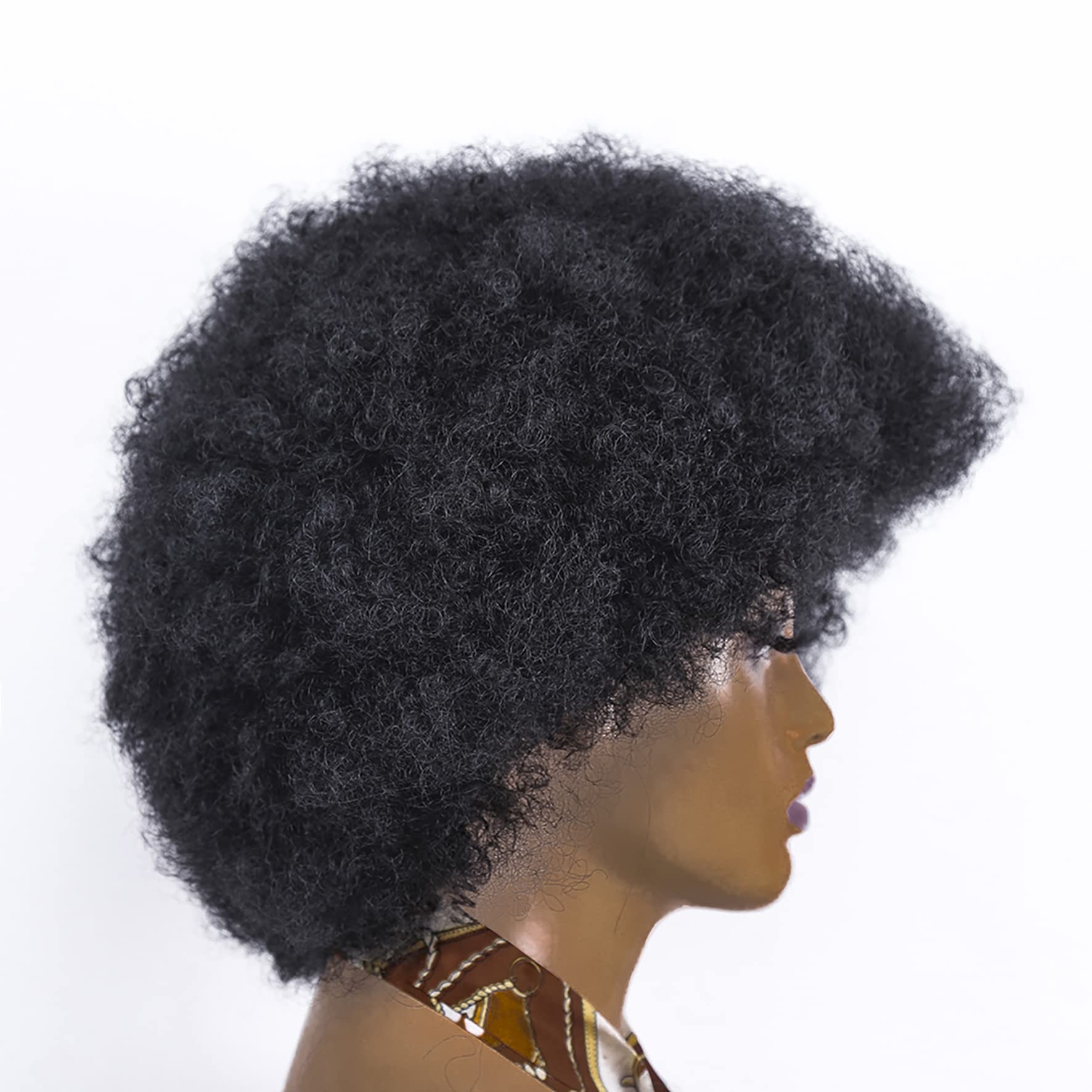 Amazon.com: Sheila Beauty Short Wigs for Black Women Pixie 