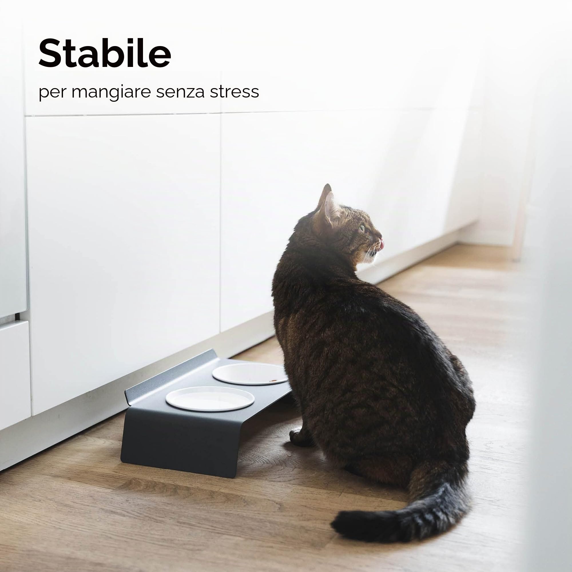 LucyBalu® Dine Doppia mangiatoia per gatti in metallo I Antracite