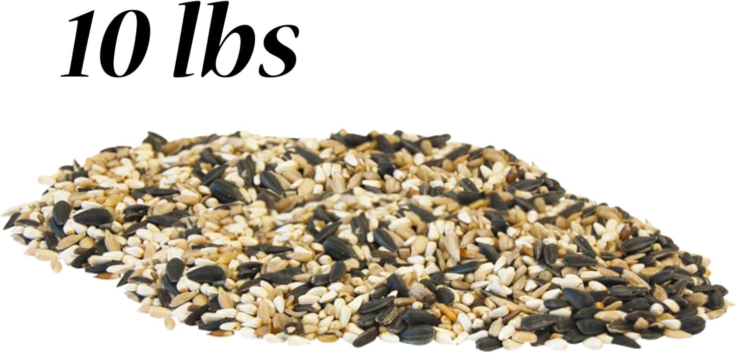 BestNest Wild Bird Seed Mix, Cardinal Blend, 10 lbs – Premium Sunflower & Safflower Seed Mix for Cardinals, Finches, and Songbirds – High-Protein Bird Food for Tube, Hopper & Platform Feeders