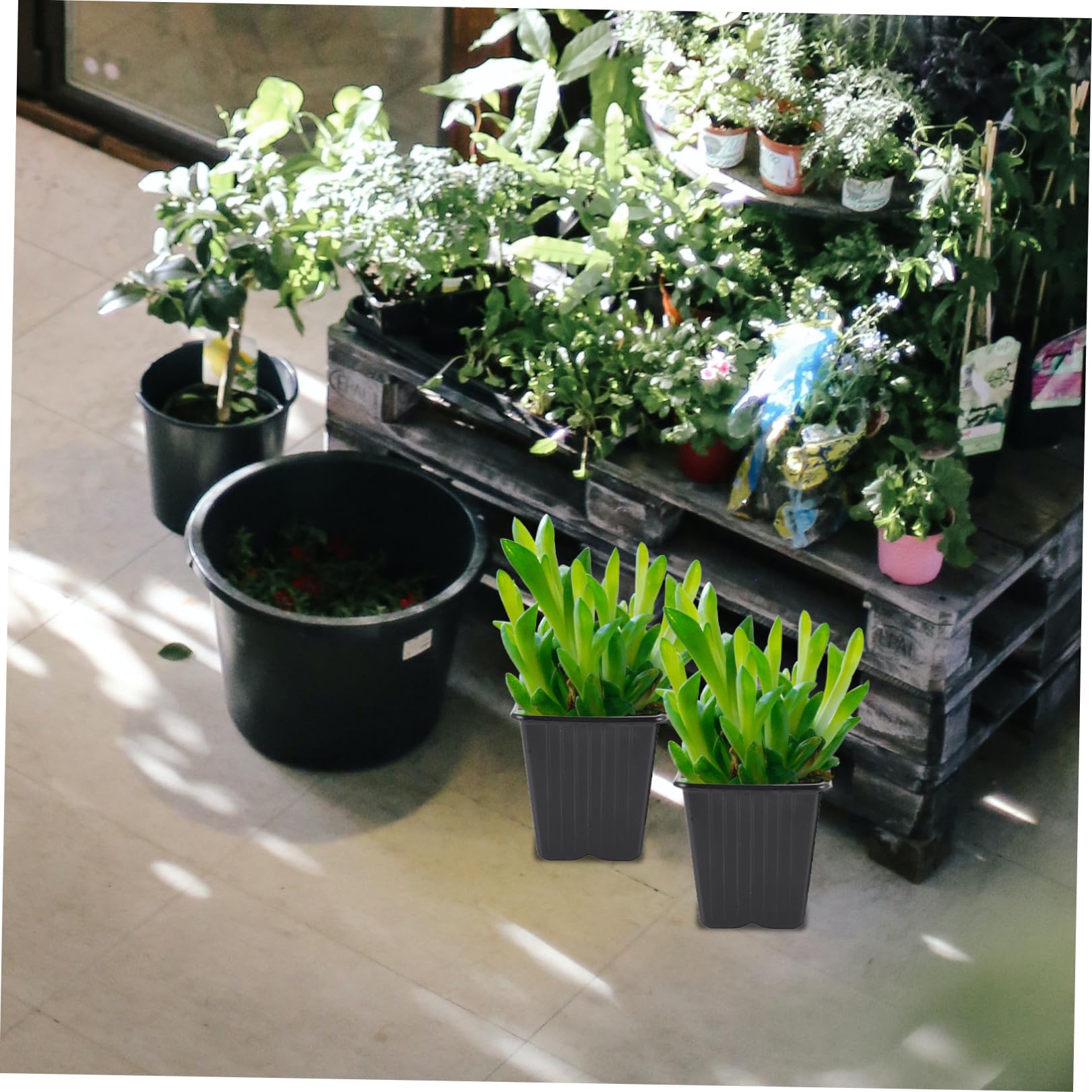 Hemobllo 27pièces Pot de Semis Plastique pour Germination des Plantes Bacs de Culture pour Pépinière Fournitures de Jardinage Plastique Pots de Semis pour Culture des Plantes