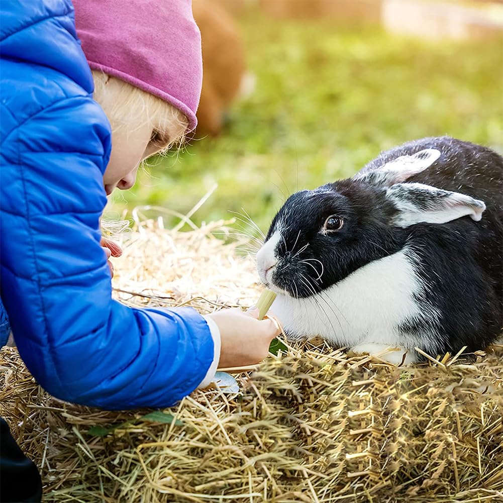 JabłKo żUć PałEczki,Bunny Kij Do żUcia,12 Szt. Kije JabłKowe，6 Szt. słodki bambus, MałE Zabawki Do żUcia,Zabawka Do żUcia KróLika Ze 100% Naturalną PałEczką JabłKową,KróLikiem,Chomikiem,Papugą