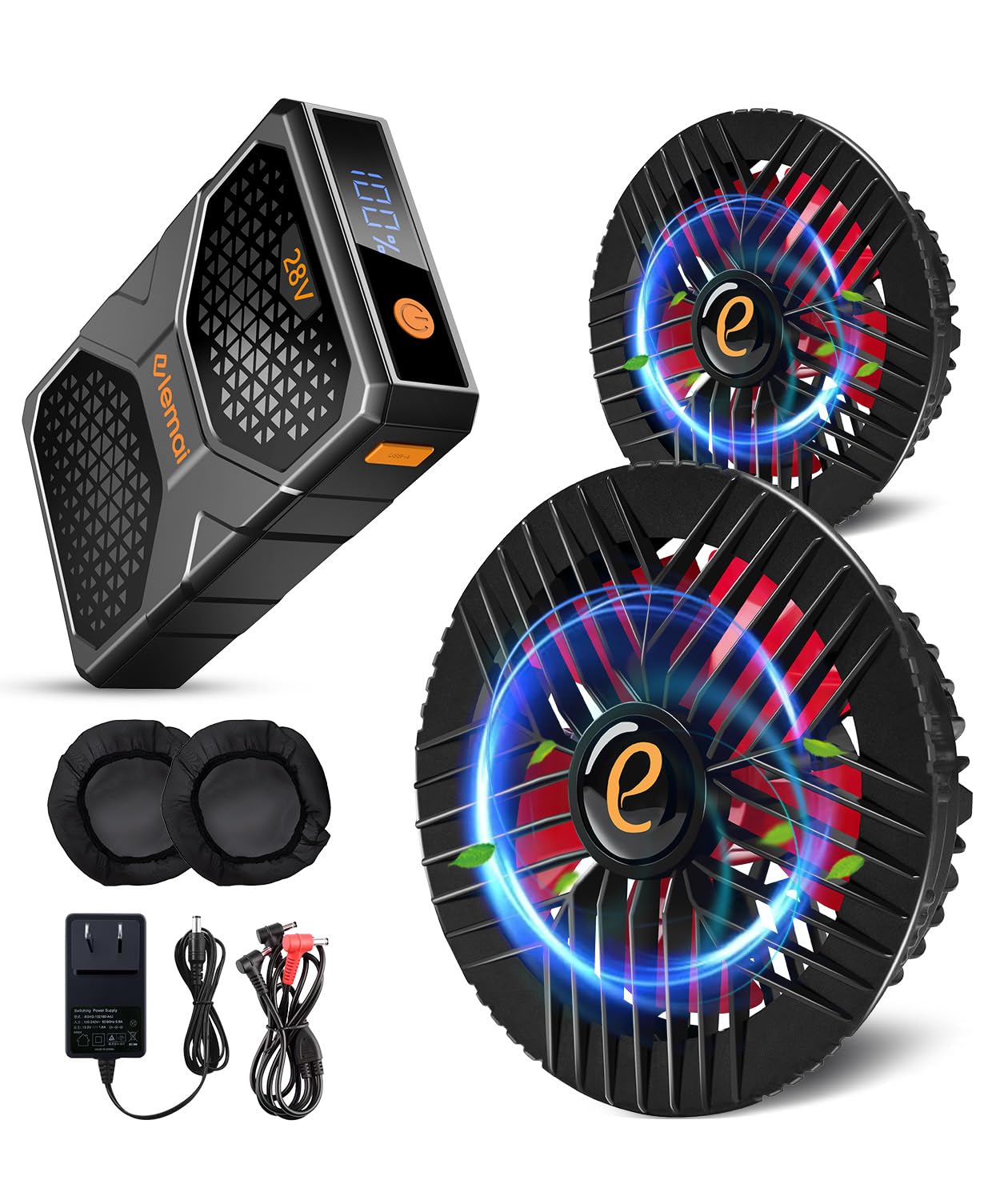 ビカクシダ willinkii bogor ☓ WhiteHawk 中株 理解 し やすい 生物