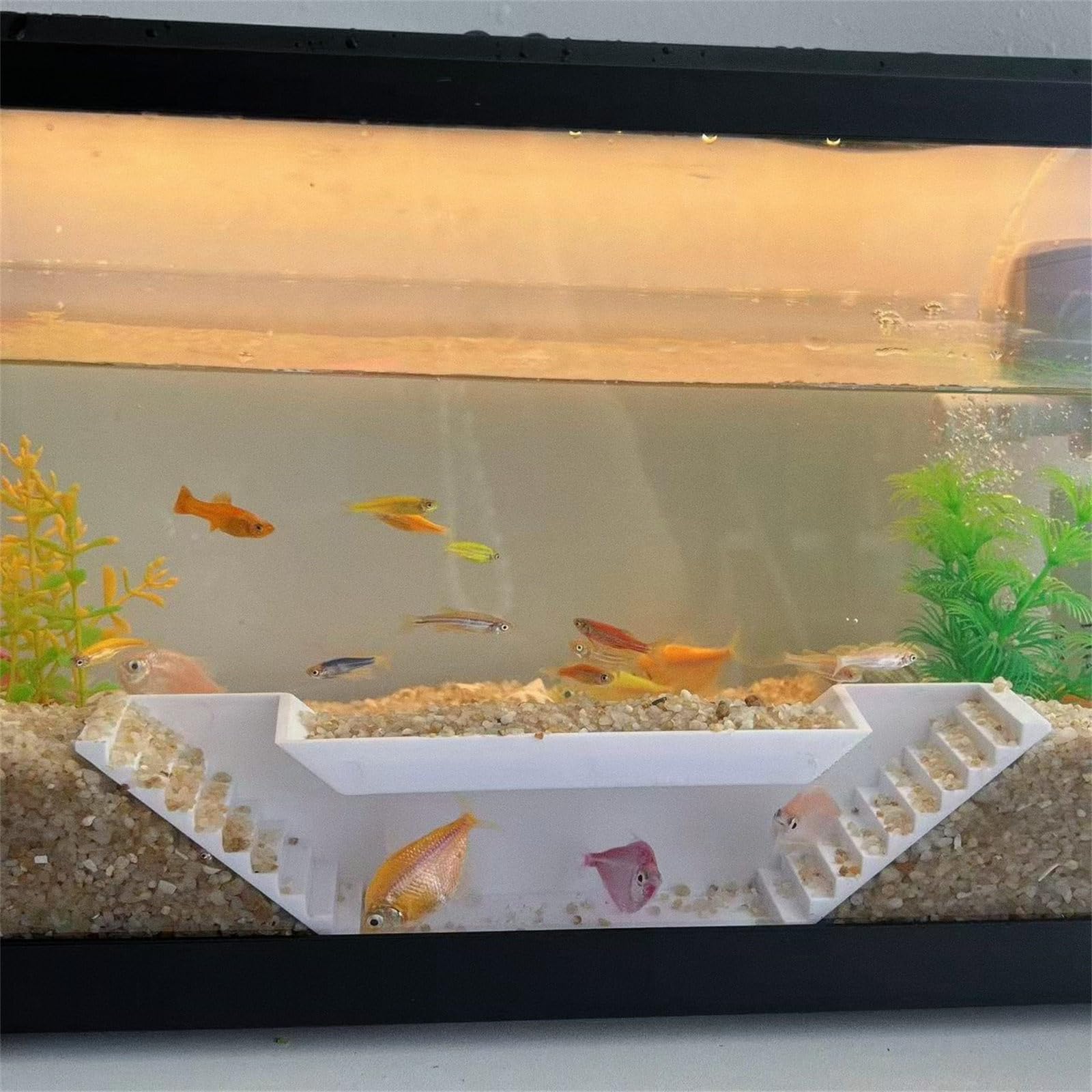 Tunnel decorativo per pesci, habitat, tunnel nascosto per acquari d'acqua dolce, decorazione per acquari