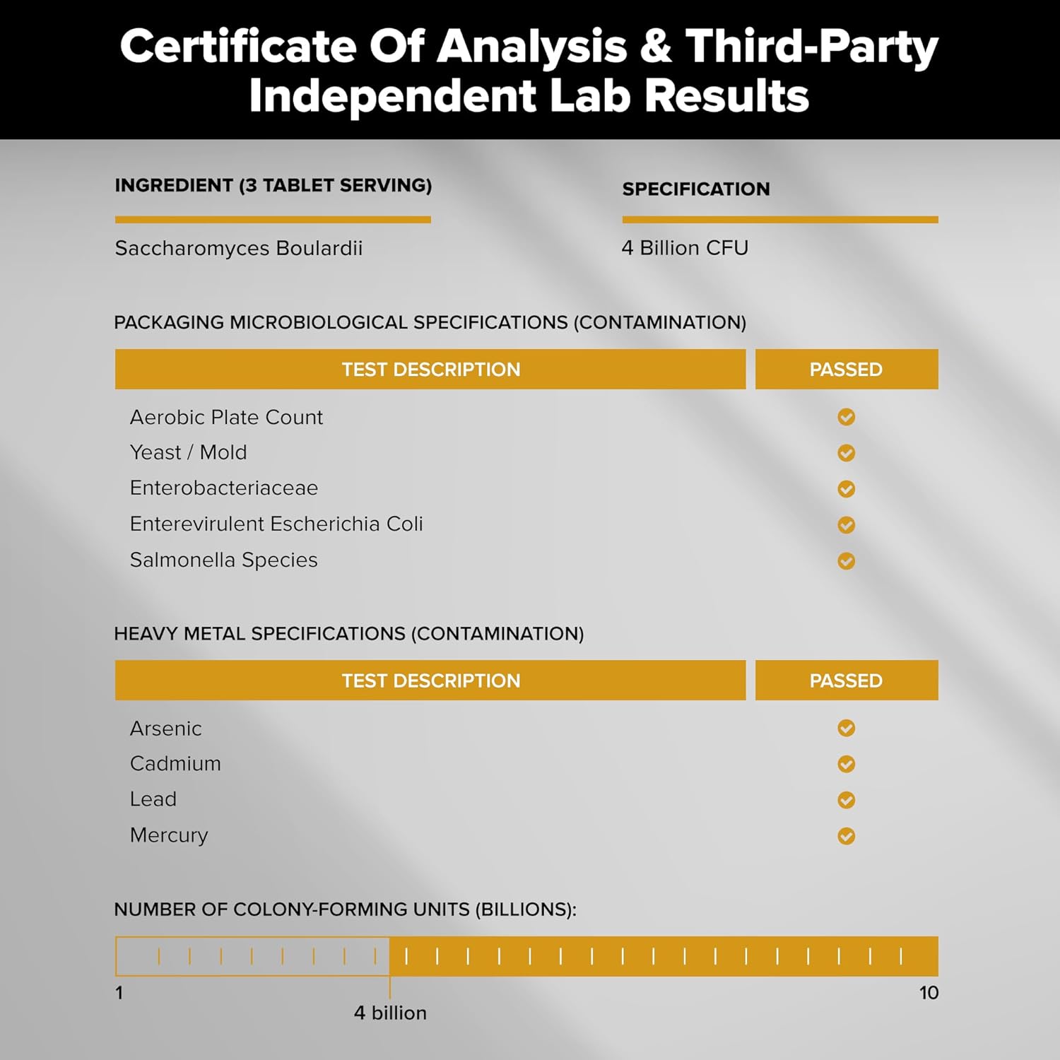 Saccharomyces Boulardii Probiotic Supplement 4 Billion CFU 240 Tablets Probiotics for Men & Women Supports Digestive & Gut Health Vegan Friendly Gluten Free Non-GMO (240, Saccharomyces Boulardii) - Image 5