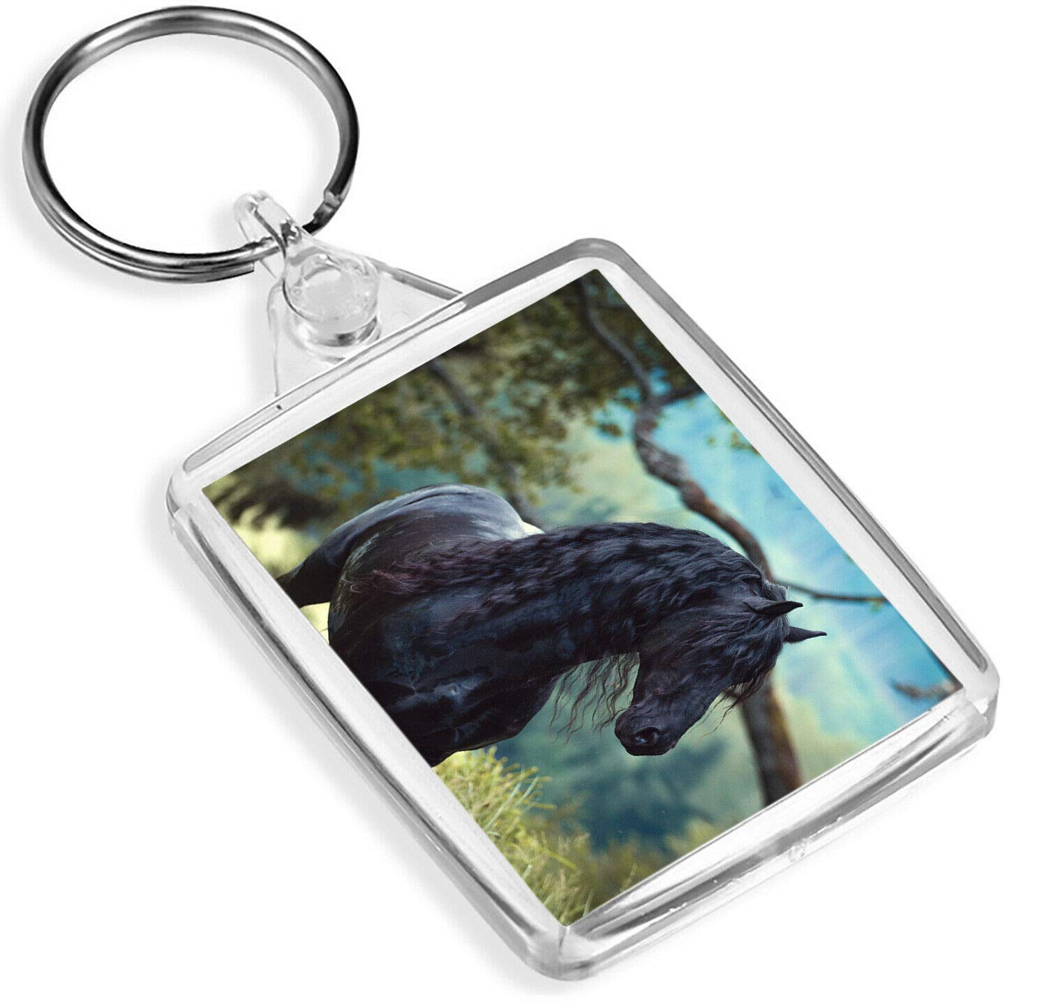 Destination Vinyl Keyrings Friesian Stallion Black Beauty Keyring - IP02 - Equine Horse Animals #16227