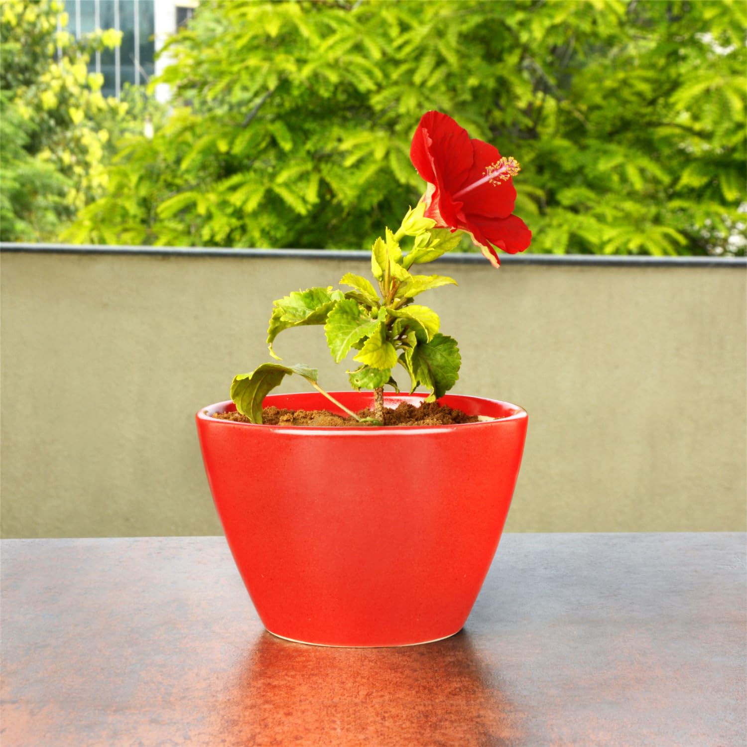 See full amazon price history chart for StyleMyWay Hand Painted Ceramic Planter Pot (Red, Diameter - 15 cm, Height - 10 cm) | Indoor & Outdoor Planter | Succulent Pot | Decorative Planter for Living Room and Balcony StyleMyWay Hand Painted Ceramic Planter Pot (Red, Diameter - 15 cm, Height - 10 cm) | Indoor & Outdoor Planter | Succulent Pot | Decorative Planter for Living Room and Balcony (B09D9HZZKY) Amazon Price History, Amazon Price Tracker