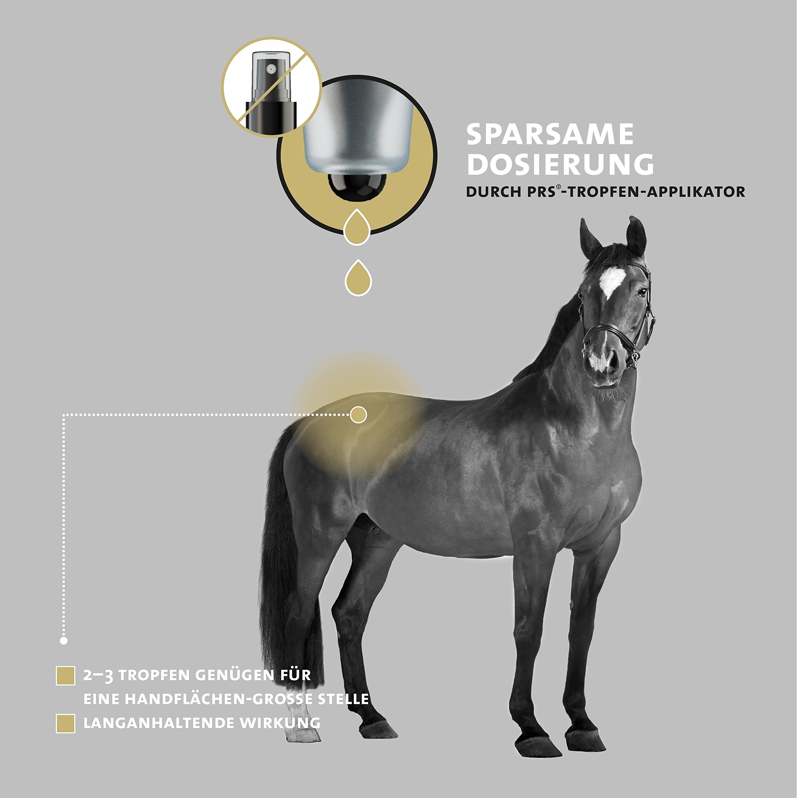 Peticare Spezial-Mittel für Pferde | bei Sommerekzem Dermatitis Ekzem | lindert effektiv Juckreiz & unterstützt Regenerationsprozess, einzigartiges PRS® System für lange Wirkung – petHorse Health 2000