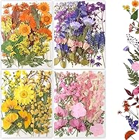 Buzidao 80Pcs Real Dried Pressed Flowers Bulk Kit - Natural Variety for Resin Molds, Nail Art, Jewelry, Scrapbooking & DIY Crafts
