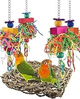 KATUMO Conure Toys Bird Grass Swing Mat Hammock with Colorful Toys for Parakeet Cockatiel Sun Conure Lovebird Budgie Small Parrots