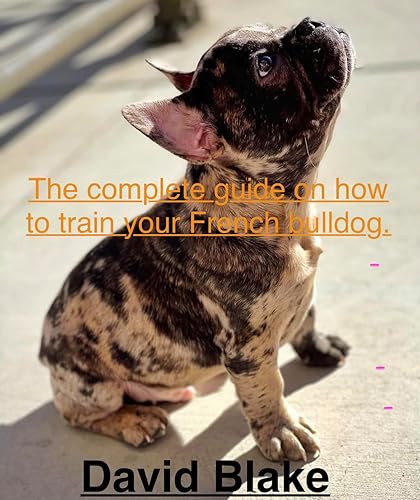 The Complete Guide on How to Train Your French Bulldog: