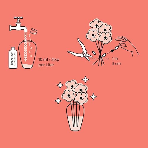 Miniatura 3 de FloraLife Alimento de flores recién cortadas - Solución líquida de nutrientes e hidratación - 8oz
