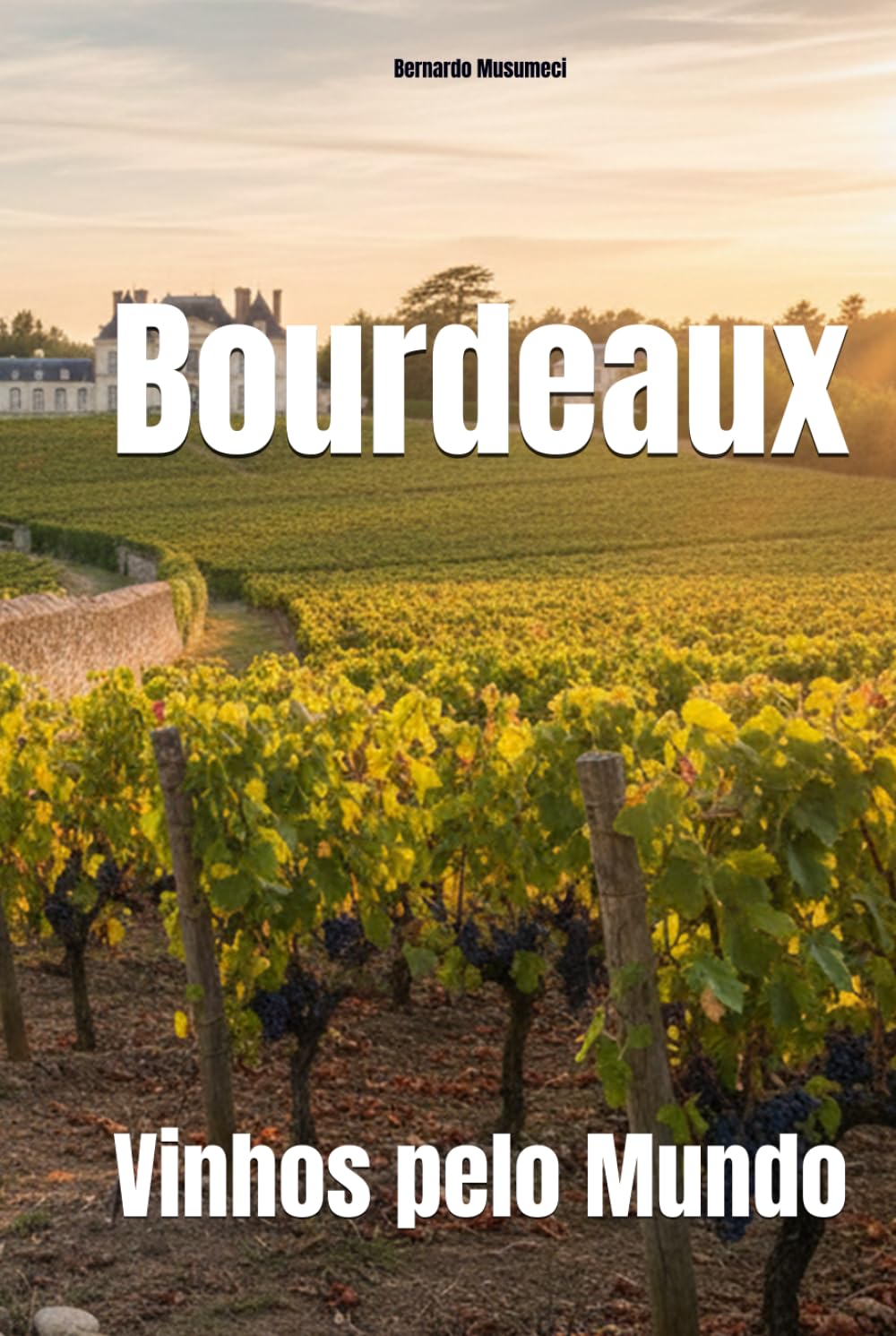Bourdeaux: Vinhos pelo Mundo (Wines of the World: France)