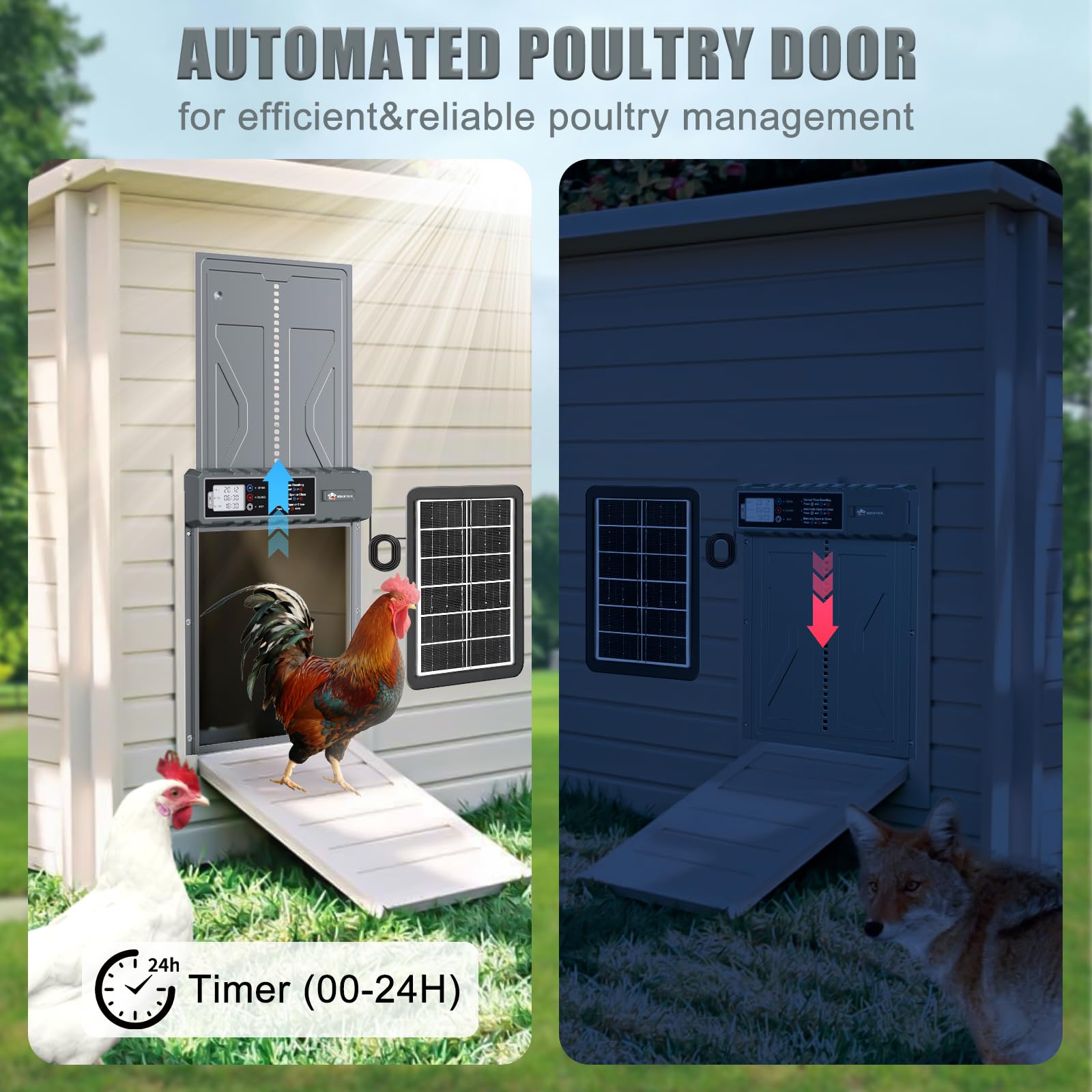 Puerta automática de pollo con energía solar antipellizcos