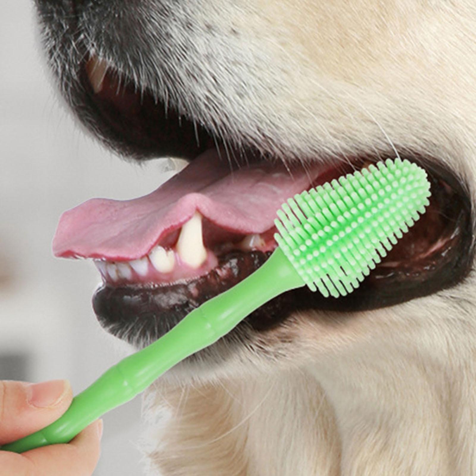Spazzolino Denti Cane Manico Lungo 360 Gradi Alito Fresco Spazzolatura | Spazzolino Pulizia Denti Gatto per Taglia Media Grande Casa Viaggio Pulizia Igiene