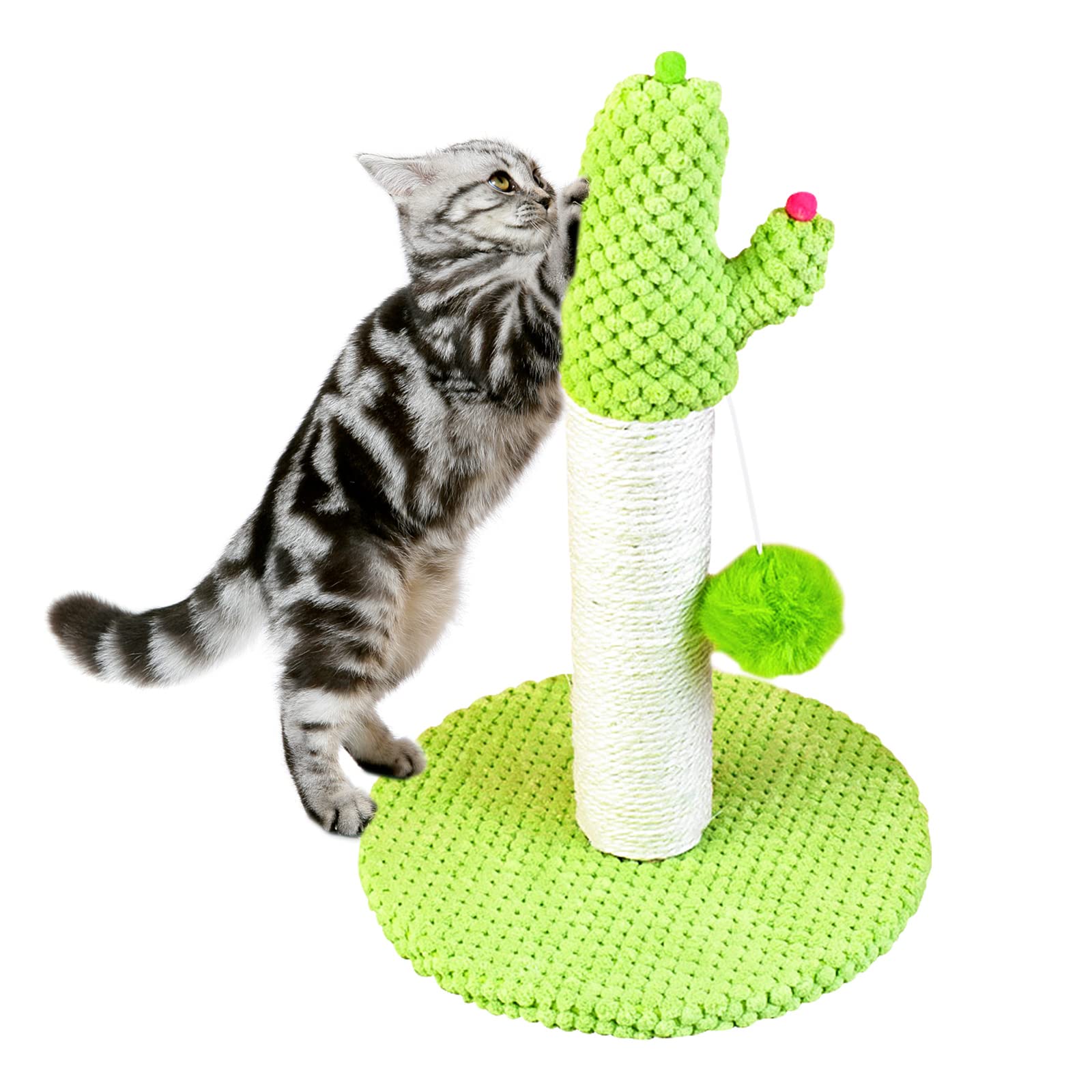 DKundZH 30cm&11.8 inch Cat Scratching Post, Cactus Cat Scratcher Kitten Scratching Post, Vertical Green Cat Tree with Dangling Balls for Small Cats Kittens