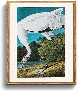 crmotu Vintage Framed Wall Art, Japanese Wall Art, Bird Canvas Art Prints, Animal Tropical White Crane Nature Wall Decor, Still Life Aesthetic Paintings for Living Room Bedroom Kitchen Office 16x24 inch