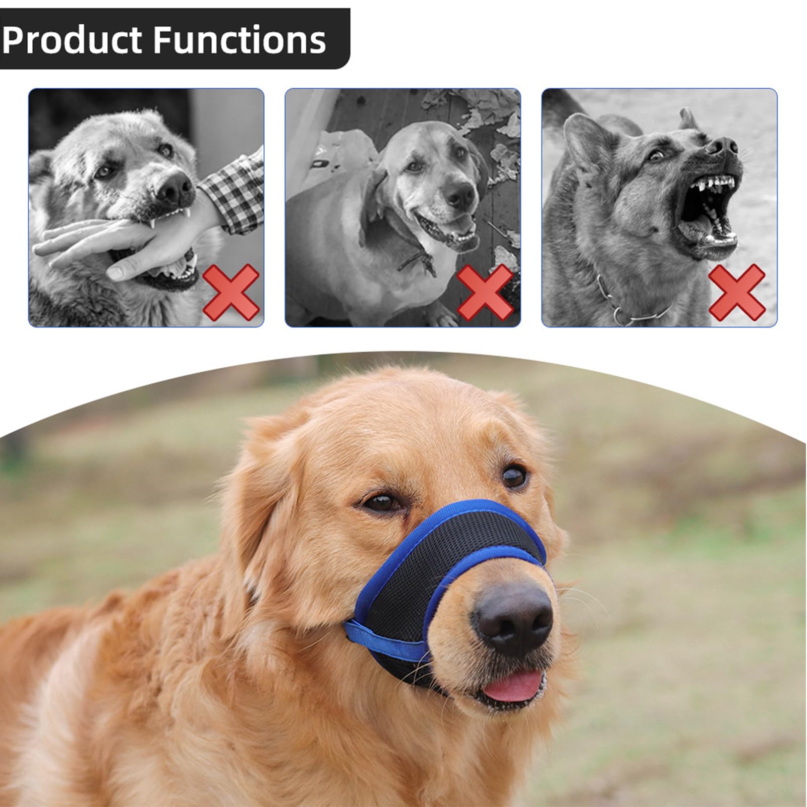 Museruola Per Cani Taglia M - Regolabile, Traspirante, Morbida, Per Cani Piccoli E Medi (Blu) - Foto 10