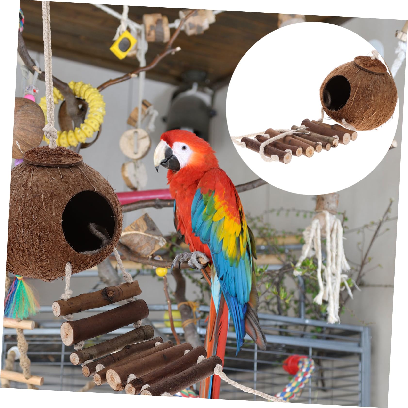 BESPORTBLE Casa para Cangrejo Ermitaño de Cáscara Natural con Escalera Hábitat para Cangrejo Ermitaño Decoración de Terrario para Reptiles Cueva Delicada para Terrario