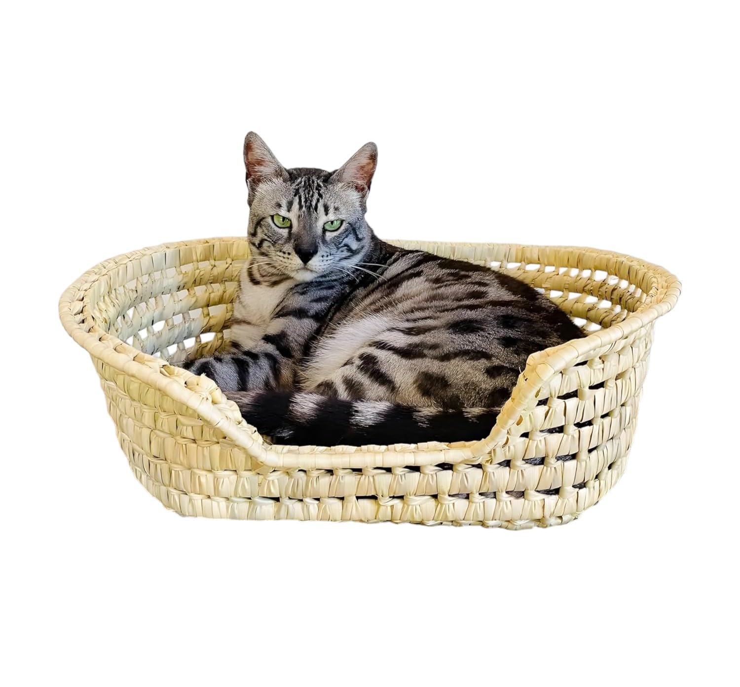 COSHANO Cesta Cama para gatos y Perros en Palma Trenzada. Moisés para Animales Mascotas. Cama para gatos de Mimbre. Fabricado a Mano Cada Cama es Unica (48x40x16 Marron)