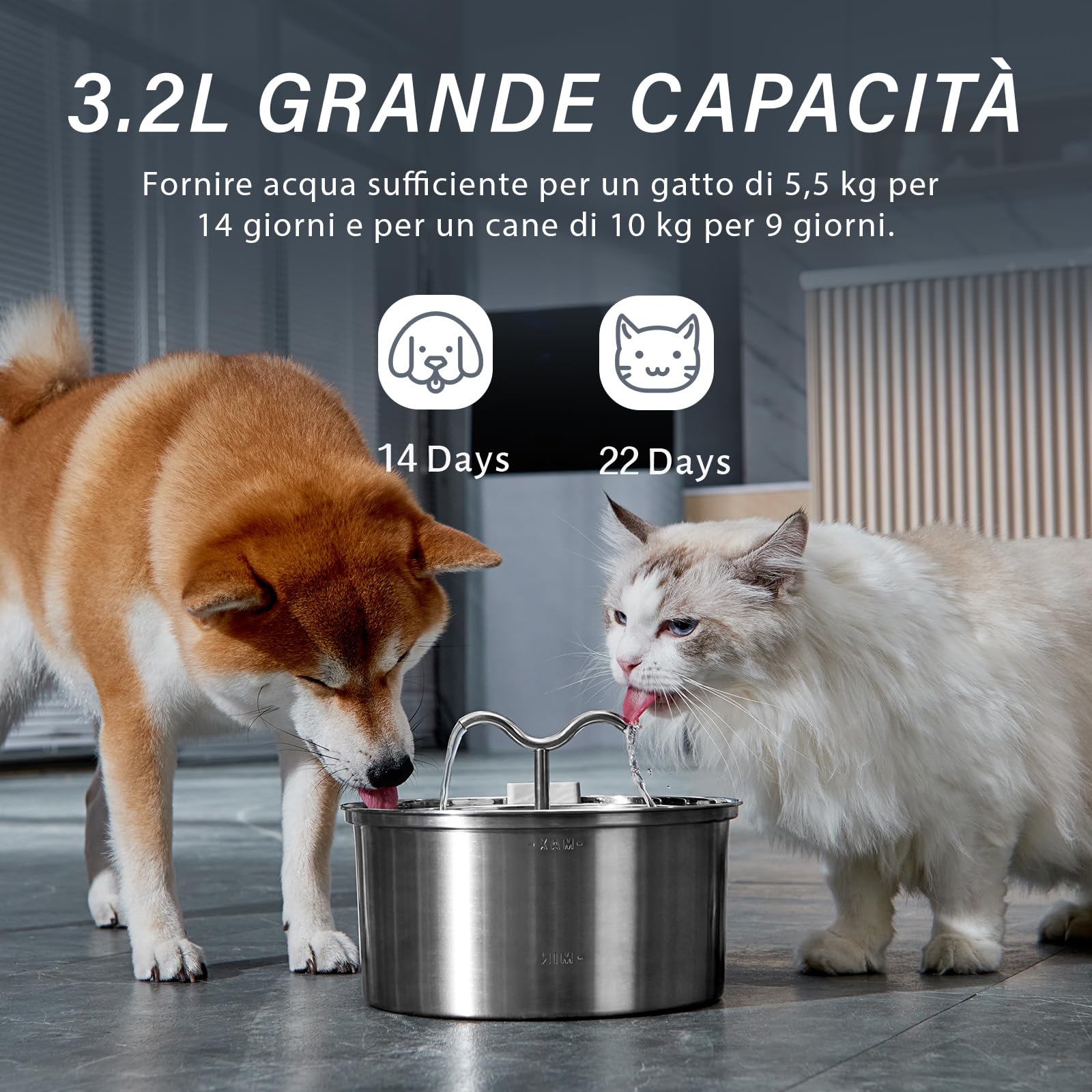 DOOOB Fontanella per Gatti, 3.2L Fontana per Gatti, Automatico Fontanella Gatto Acciaio con Pompa Ultra Silenziosa, Fontana per gatti acciaio inox con 1 Filtro e 1 Spugna