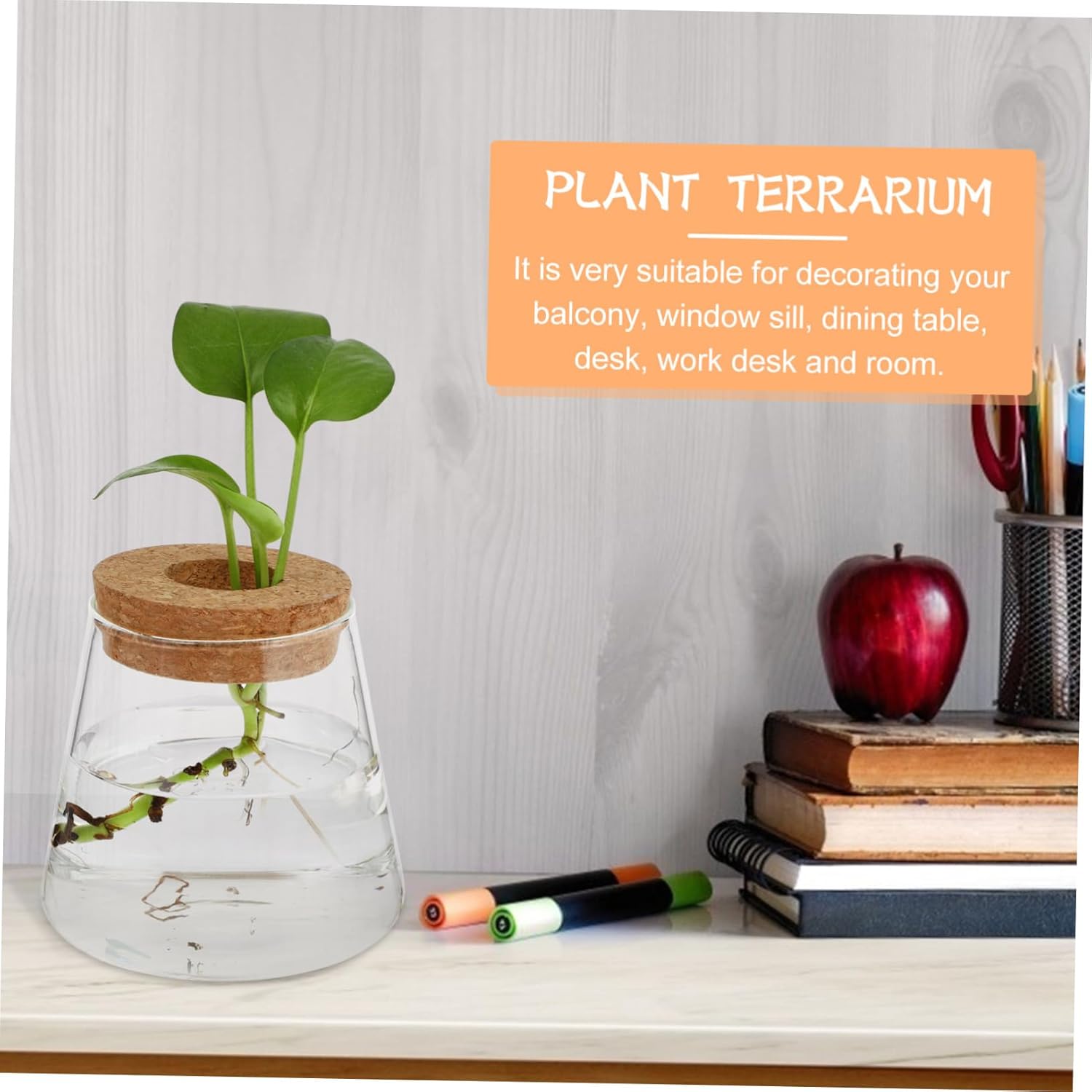 6pcs Hydroponics Glass for Desktop Garden Decoration Beautiful Terrarium Planter for Home Office for Plant Space-Saving Design