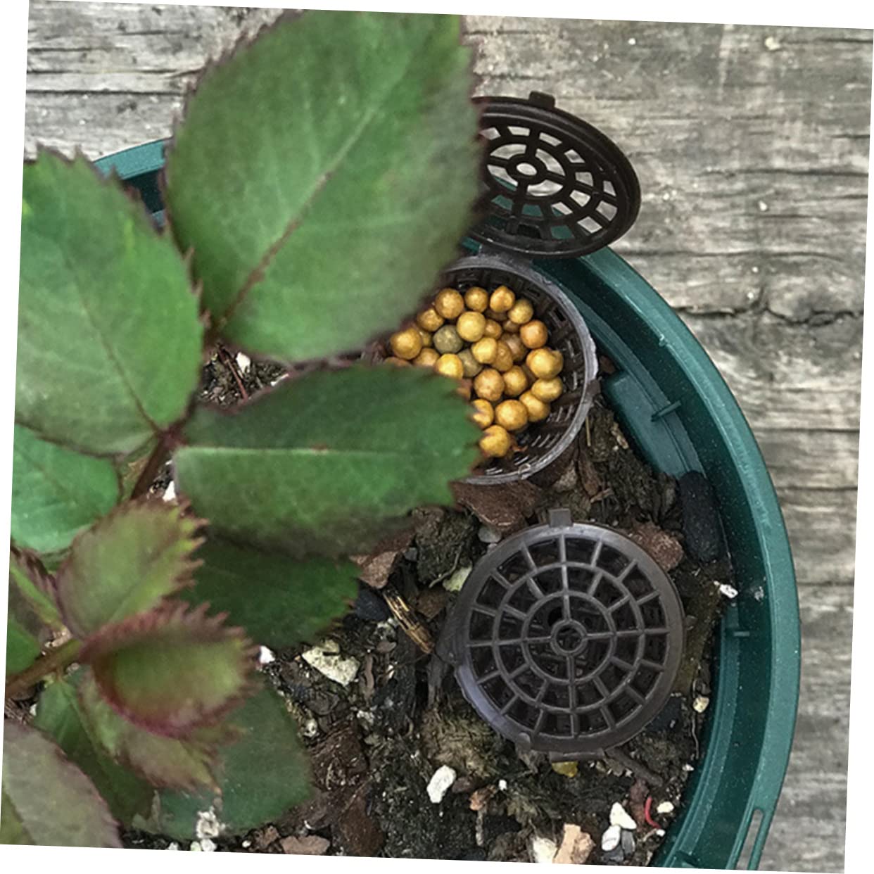 POPETPOP 150pièces Boîtes De Fertilisation Avec Couvercle Conteneurs Réutilisables Pour Engrais De Bonsai Et Plantes